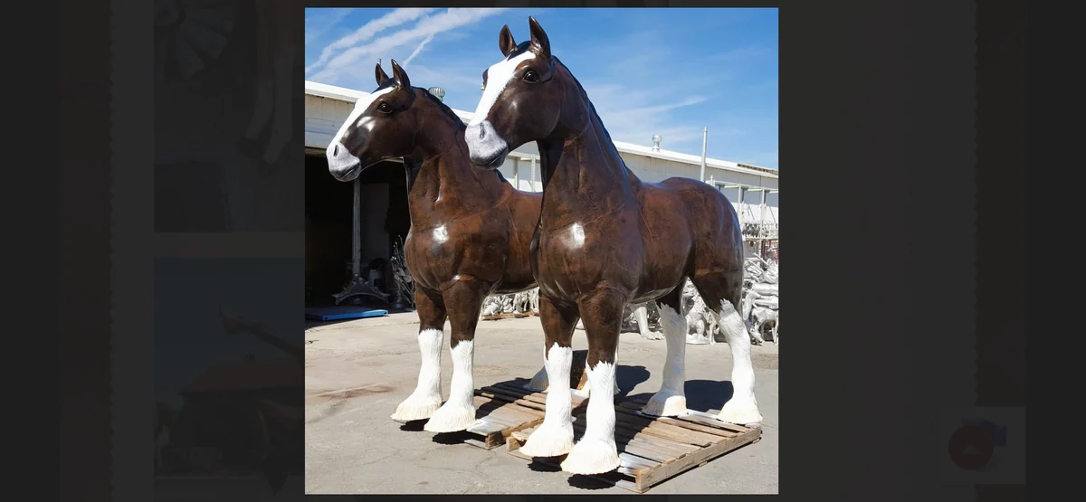 Clydesdale Horse