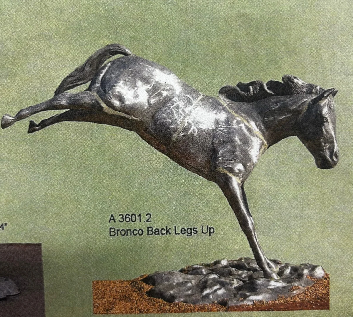 Bronco Back Legs Up