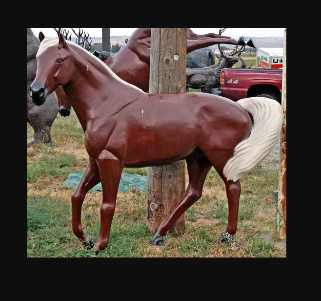 Arab Horse