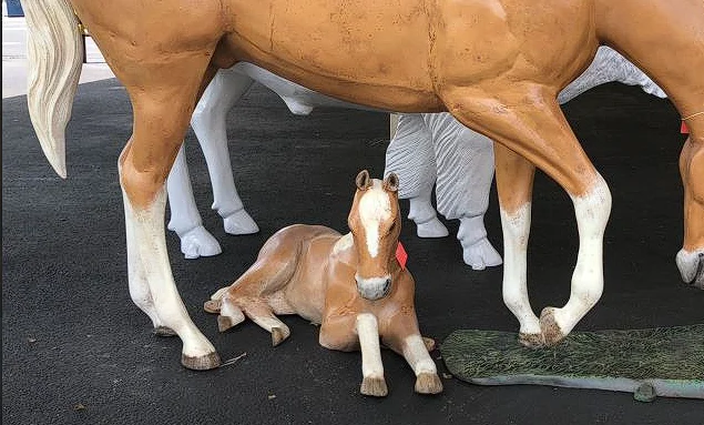 Lying Colt