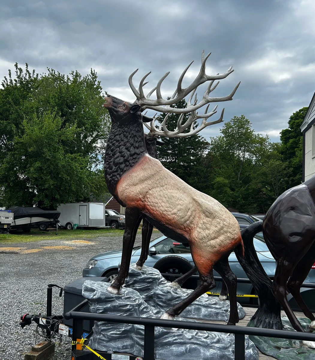 Elk On Stone