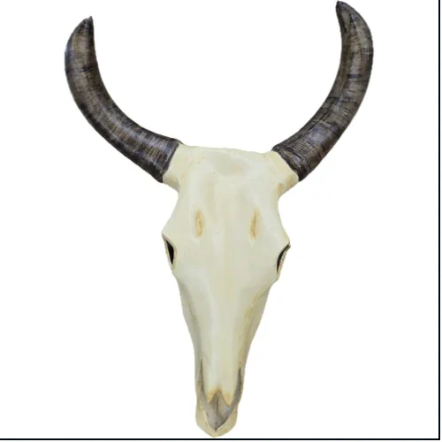 Skull Number 3