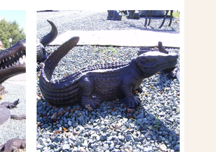 Medium Alligator