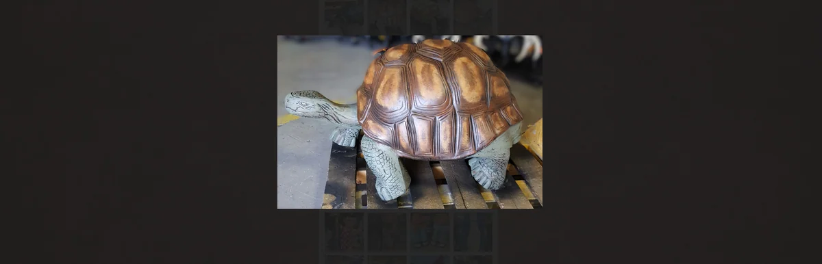 XXL Turtle