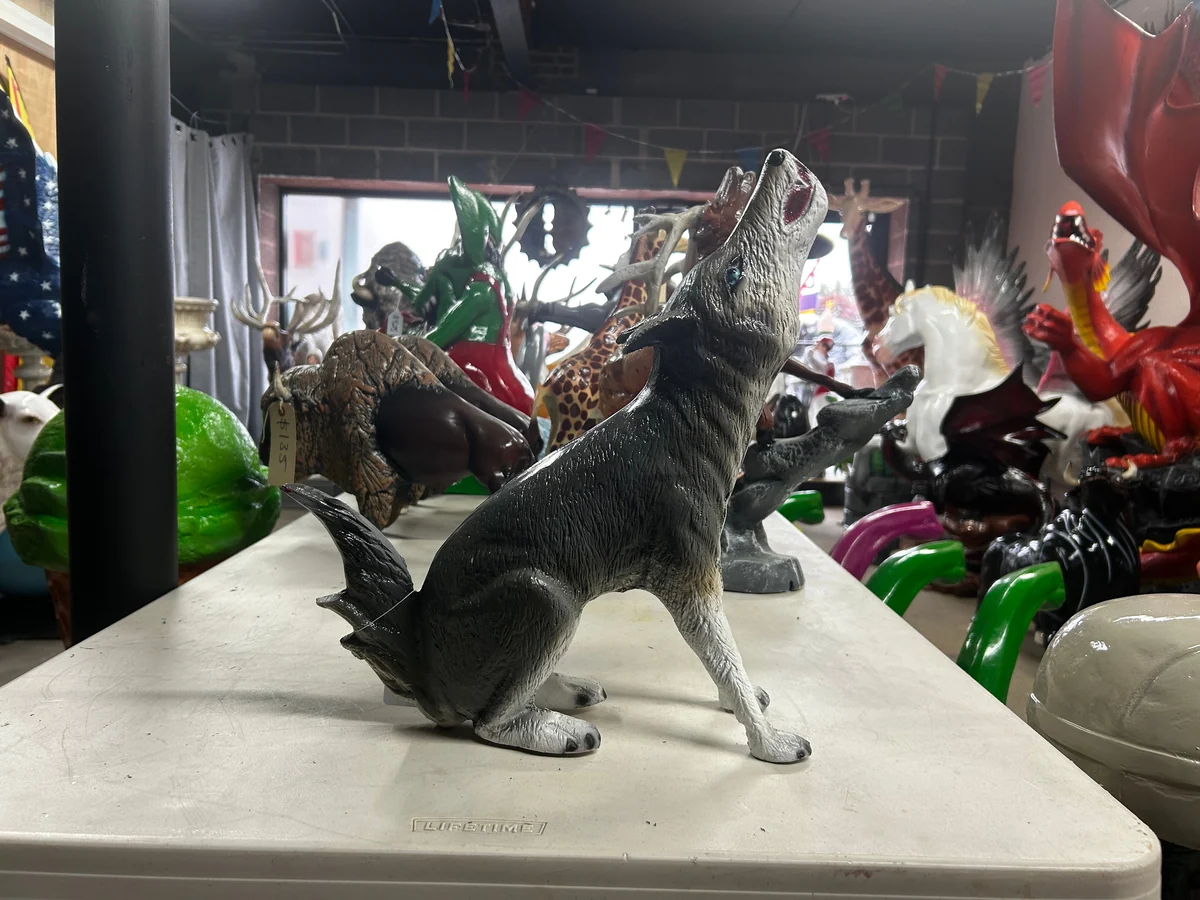 Mini Coyote