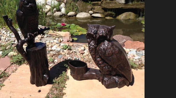 Owl