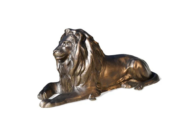 Lying Lion