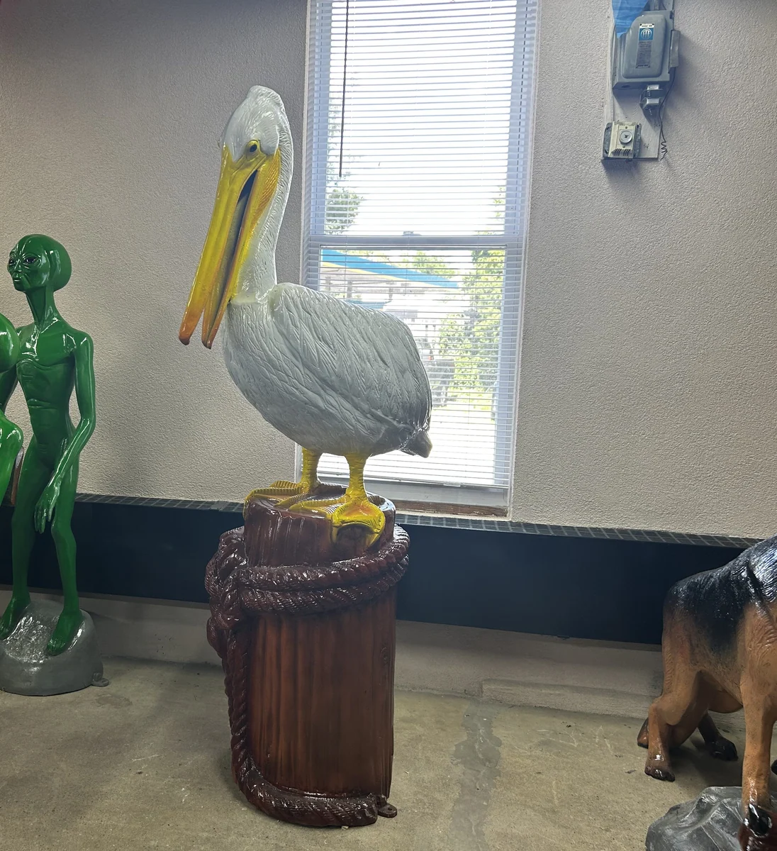 XL Pelican
