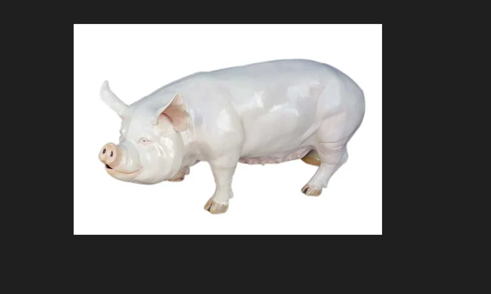 Pregnant Pig