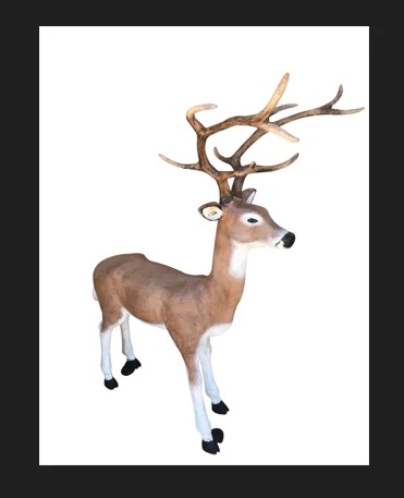 Medium Buck