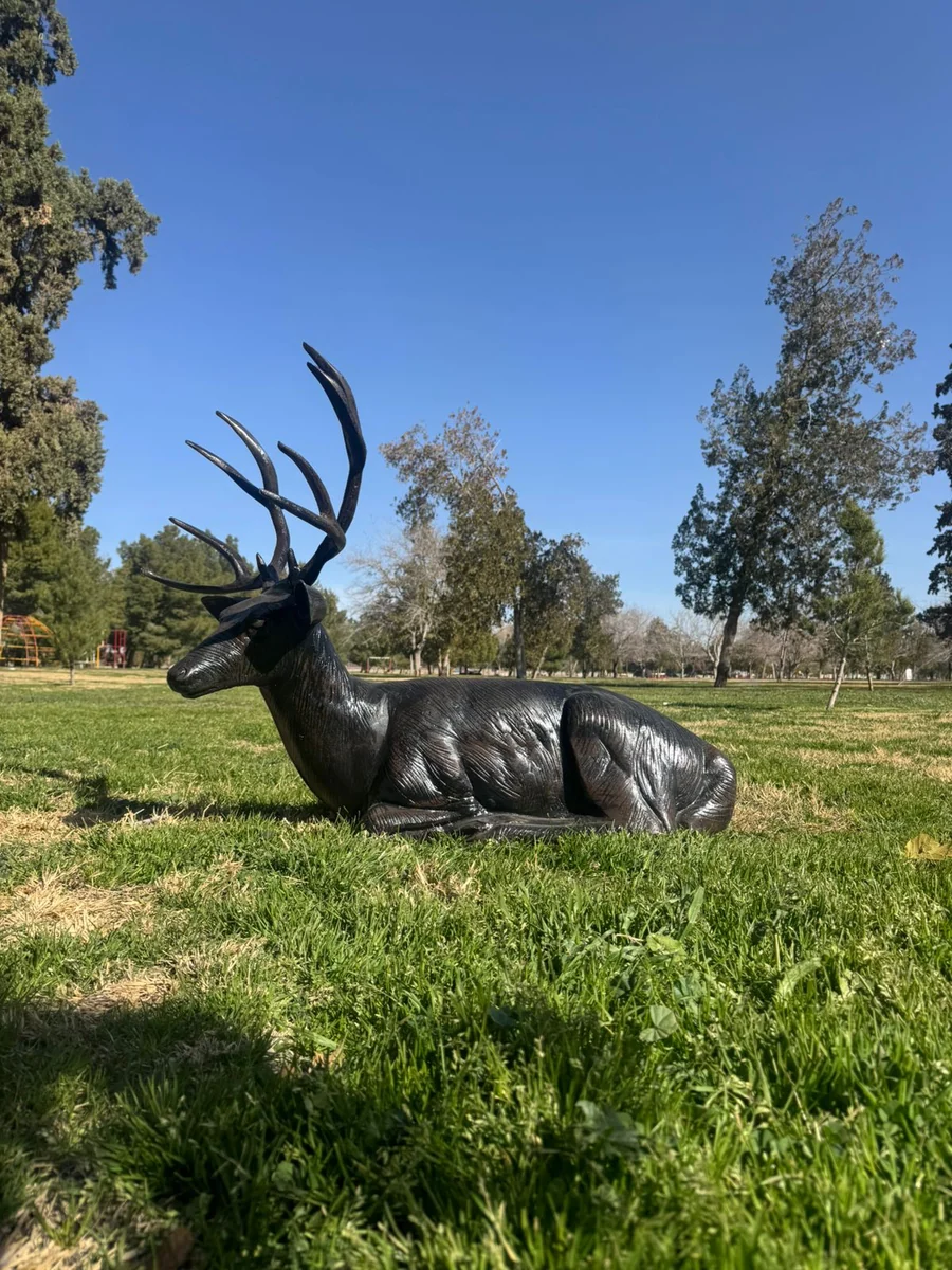 Lying Lg. Buck