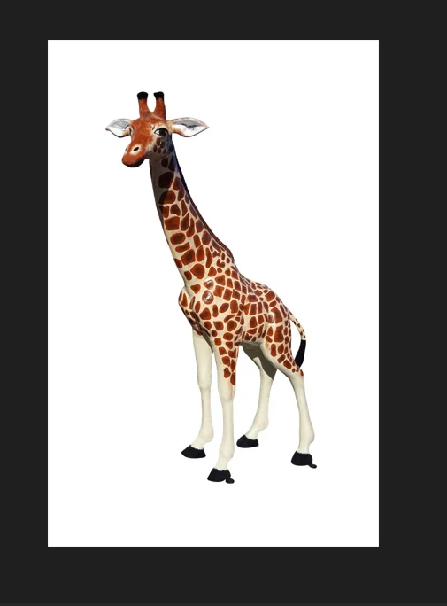 African Giraffe
