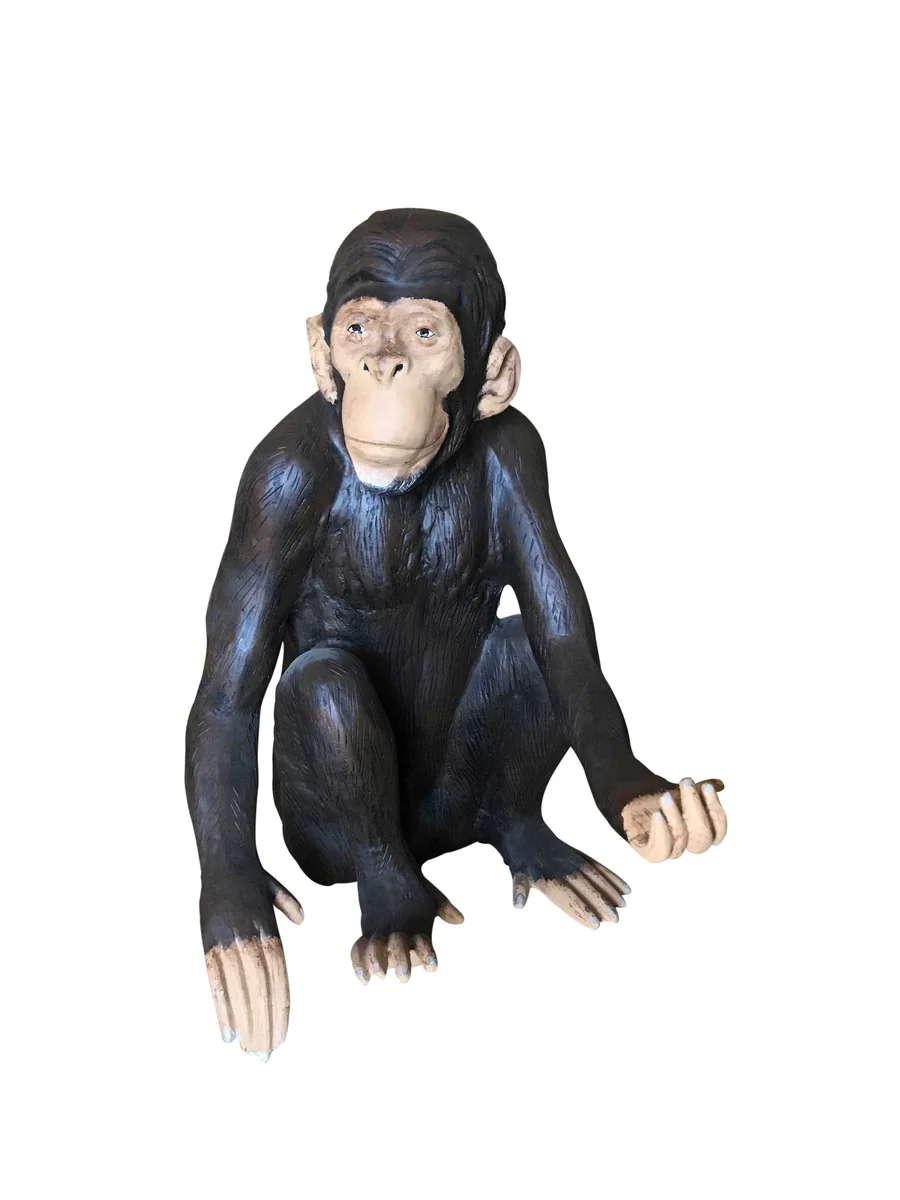 Monkey #2