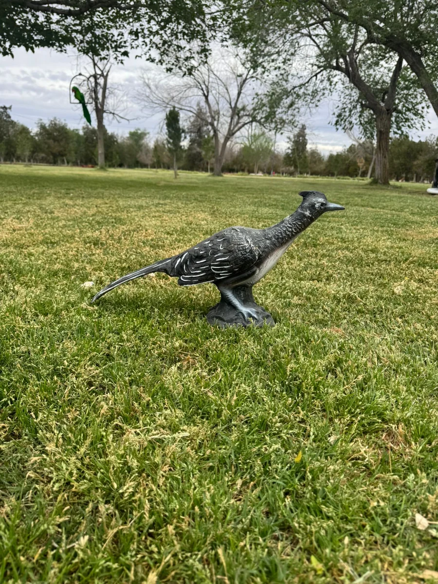 Roadrunner